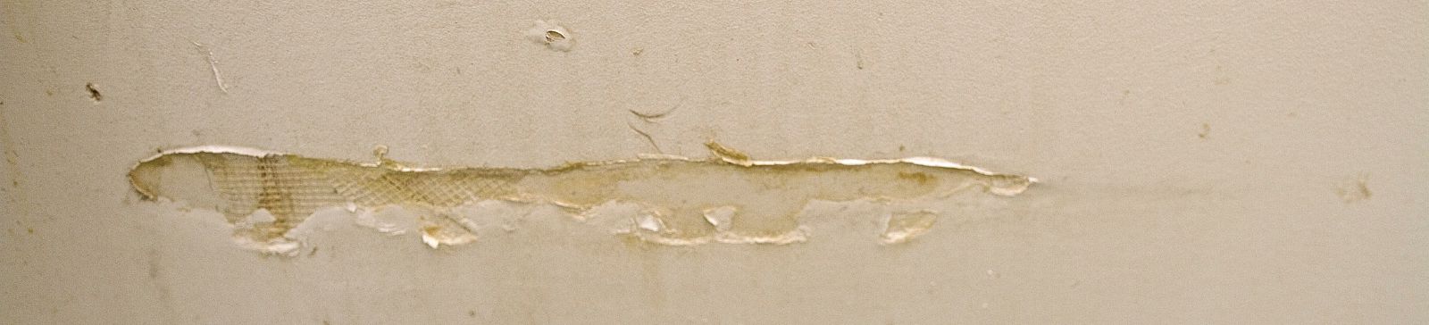 Drywall Repair Services